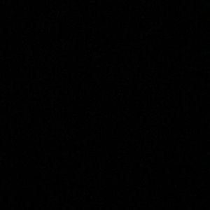 Meet your Posher, Donnie